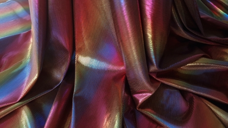 Lycra multicolora