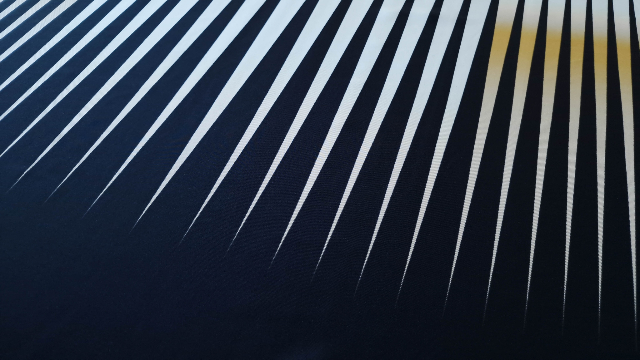 Twill din matase naturala imprimata Etro - imagine 2