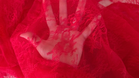 dantela tip chantilly rosu ch08 evelin textile (5)