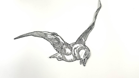 aplicatie brodata pasare alb negru r504 evelin textile (2)