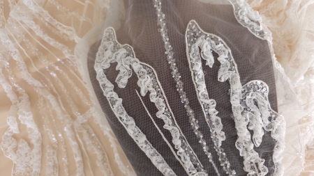 Forme arcuite din dantelă fină 3D cu margele pe tull ivory cadru complet