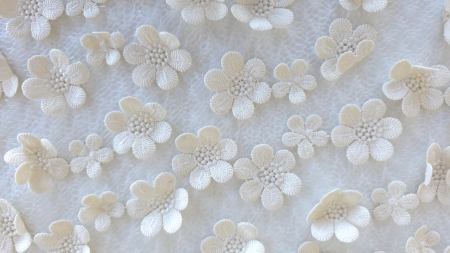 dantela cu flori 3d ivory fotografiată de aproape pe suprafață