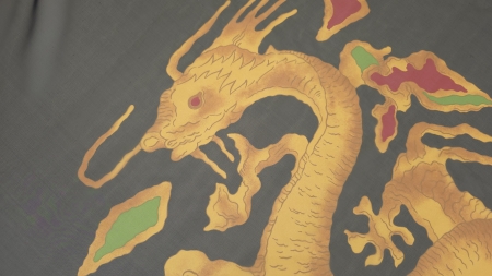 imprimeu dragon galben cu pete verzi si rosii pe fond gri inchis