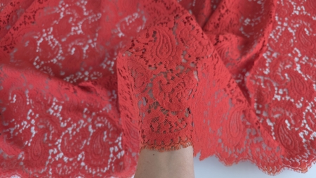dantela coral cu model paisley ținută în palmă